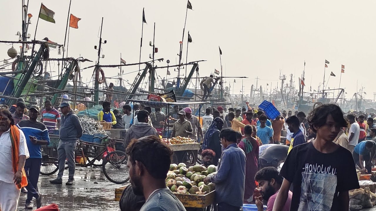 Vizag fishing harbour Thursday morning live market 11/12/2025