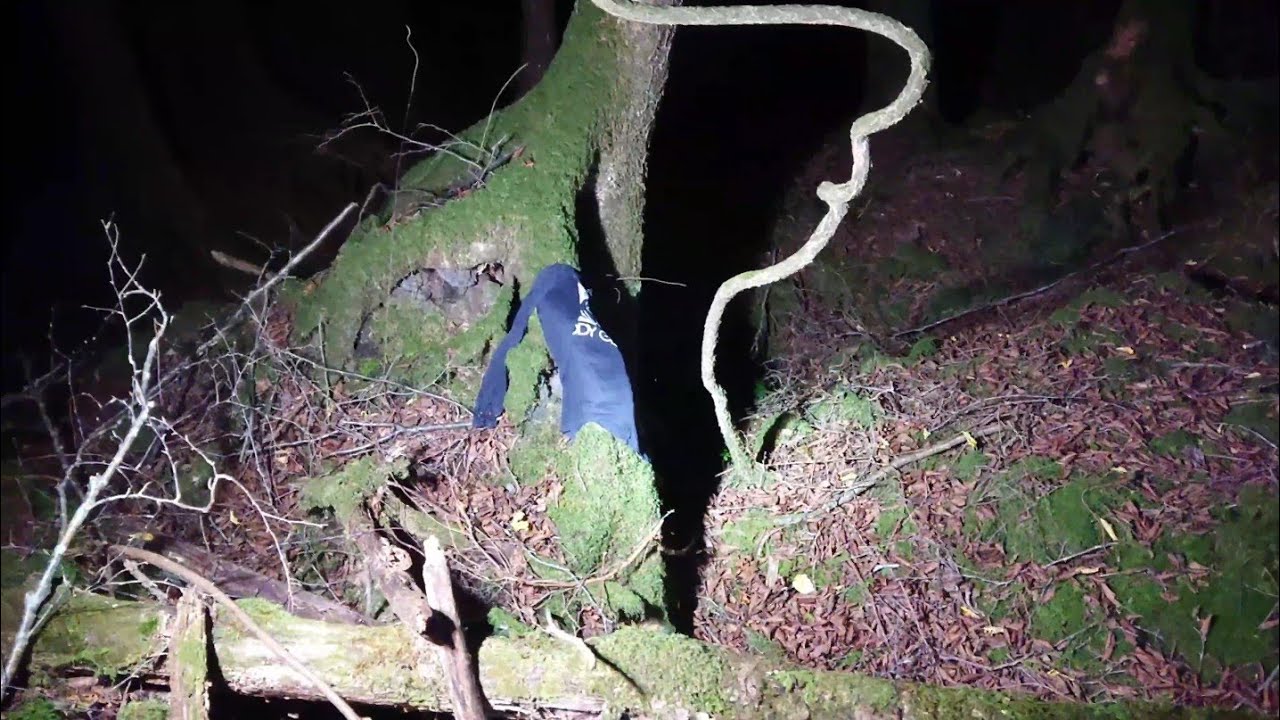 深夜の青木ヶ原樹海を彷徨う。そしてはぐれてぼっちに… あの明かり🔦は誰なのか？？【4K】