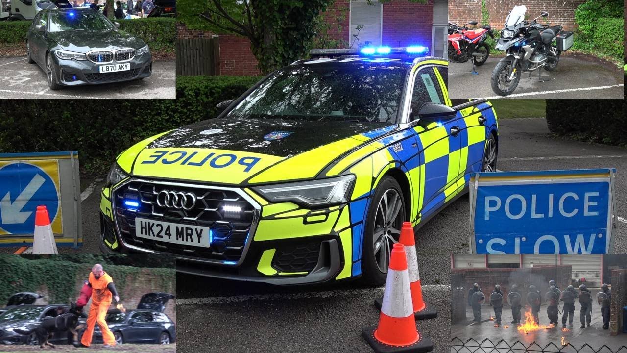 PUBLIC ORDER & DOGS DISPLAY | Hampshire & Isle of Wight Families Day 2025