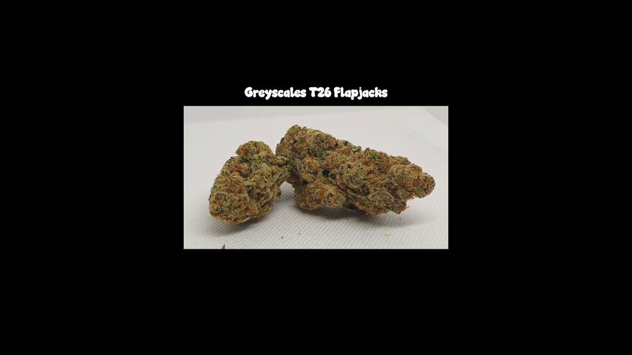 Greyscales Flapjacks #shortsfeed #shortvideo #shorts #short #shortsviral #cannabiscommunity #420