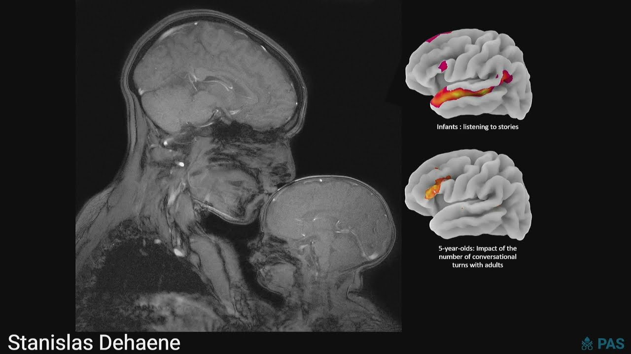Stanislas Dehaene – Seeing the mind: 35 years of progress in brain imaging