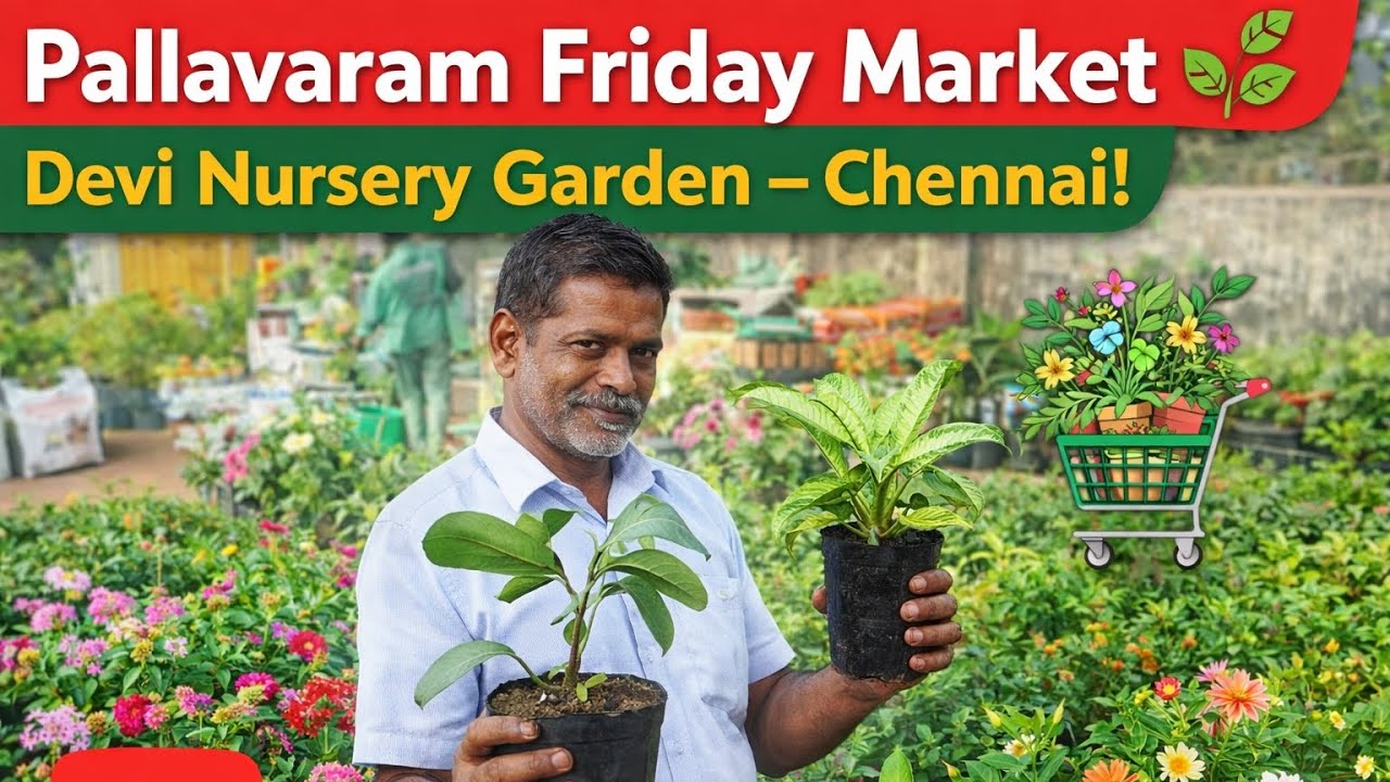 Pallavaram Friday Market | Devi Nursery Garden Chennai | Flowers Collection! 13-03-2026