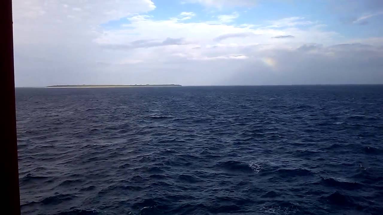 SEAMAN LIFE - ISLAND IN GREAT BARRIER REEF