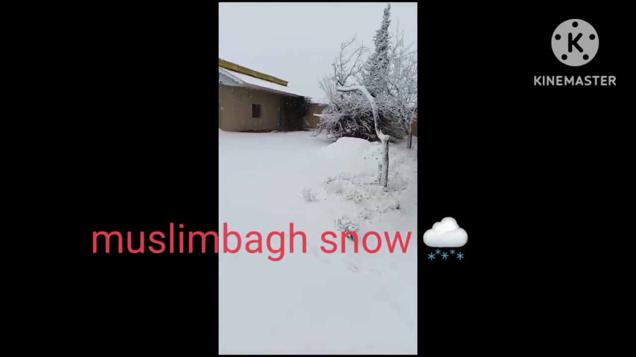 snow 🌨 muslimbagh pti tigers
