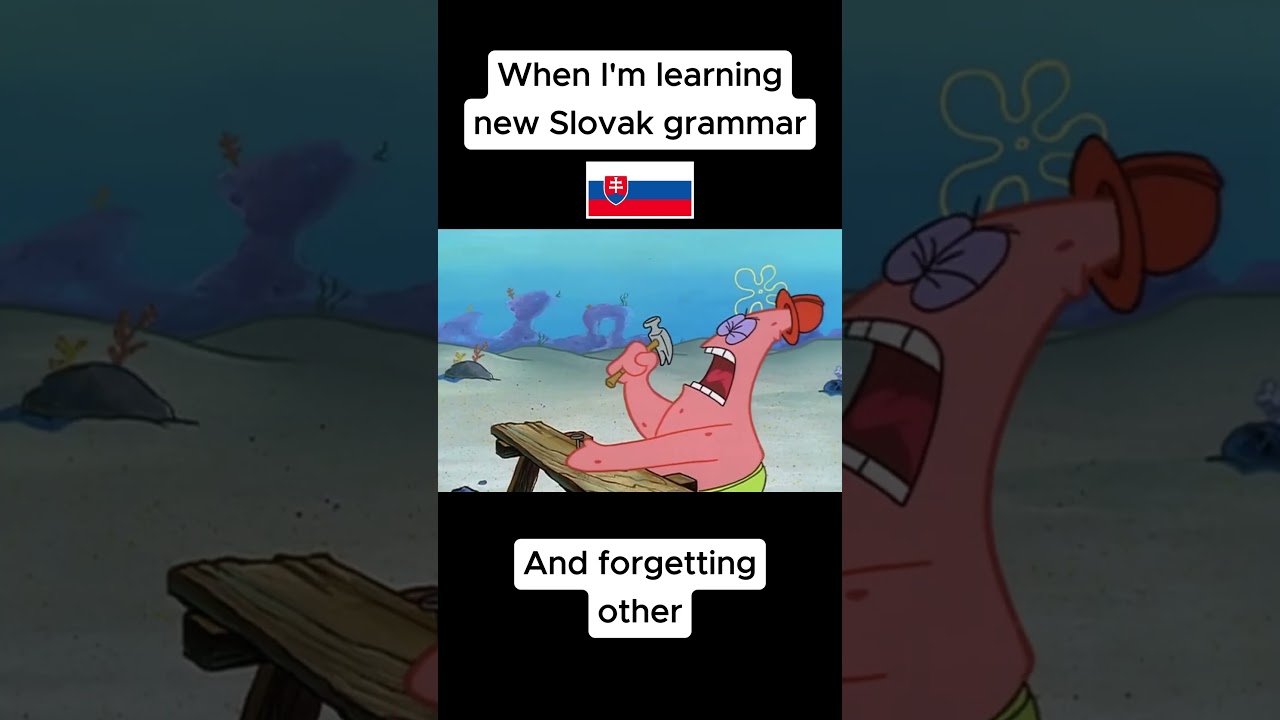 Yes! Slovak Grammar! 😶😓 #slovakia #slovaklanguage #slovensko #cesko  #slovakgirl #poland #russian