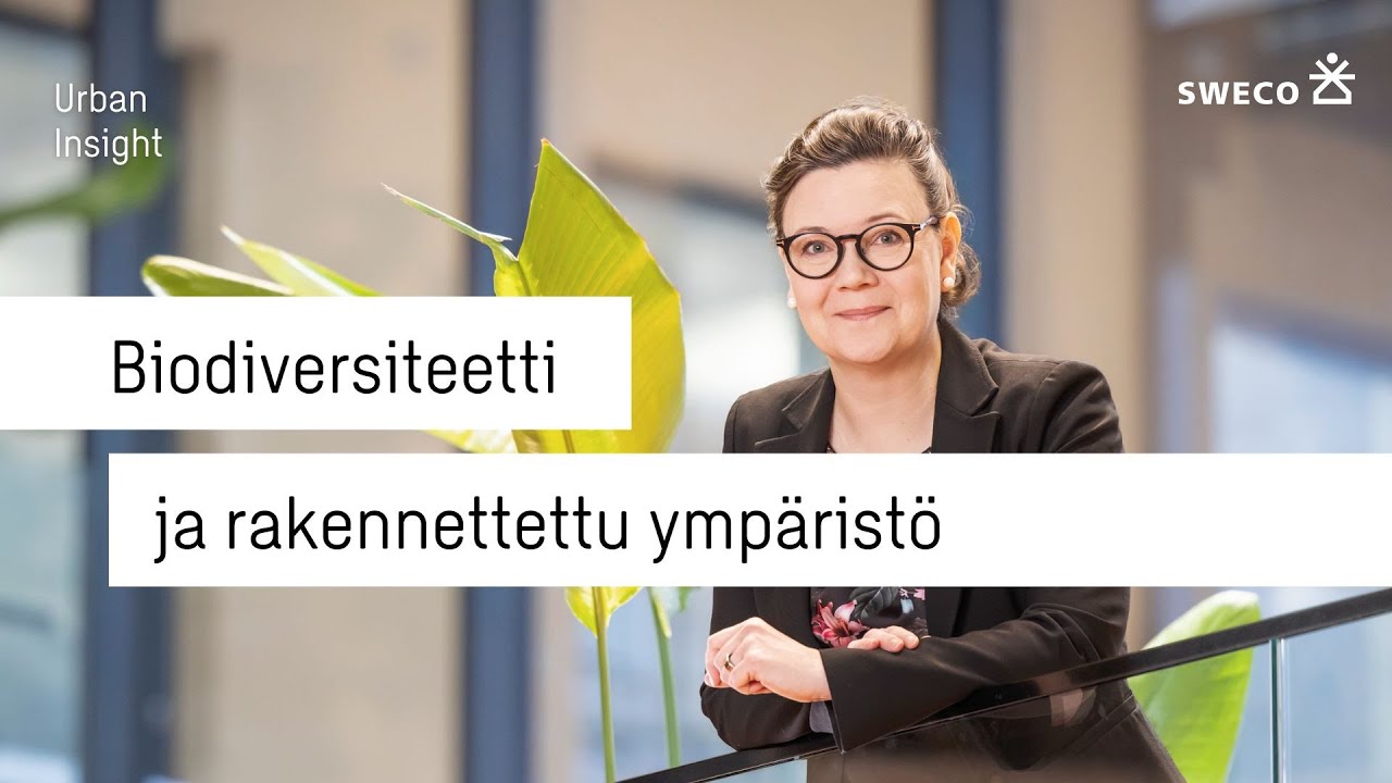 Biodiversiteetti rakennetussa ympäristössä: Luontokadosta uuteen kasvuun