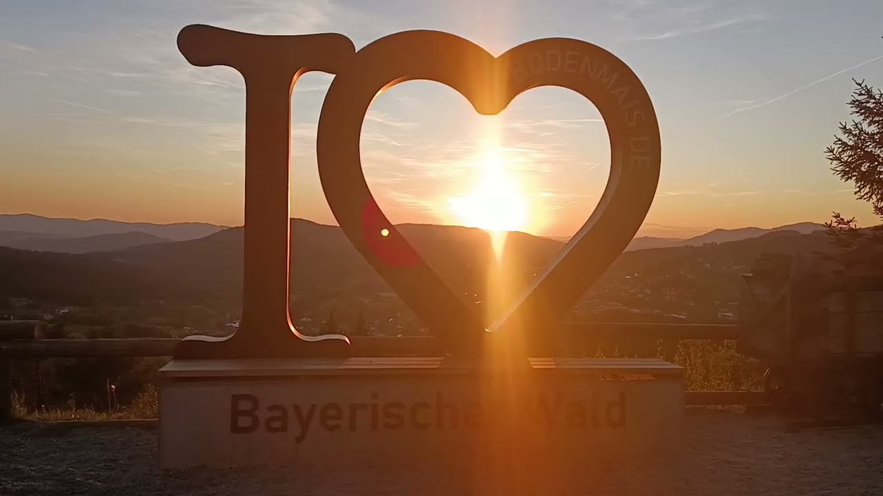 SASCHA SEITZ - Titel : BODENMAIS - Bayerischer Wald