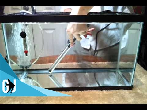 How to Calibrate an Eheim Jager Aquarium Heater