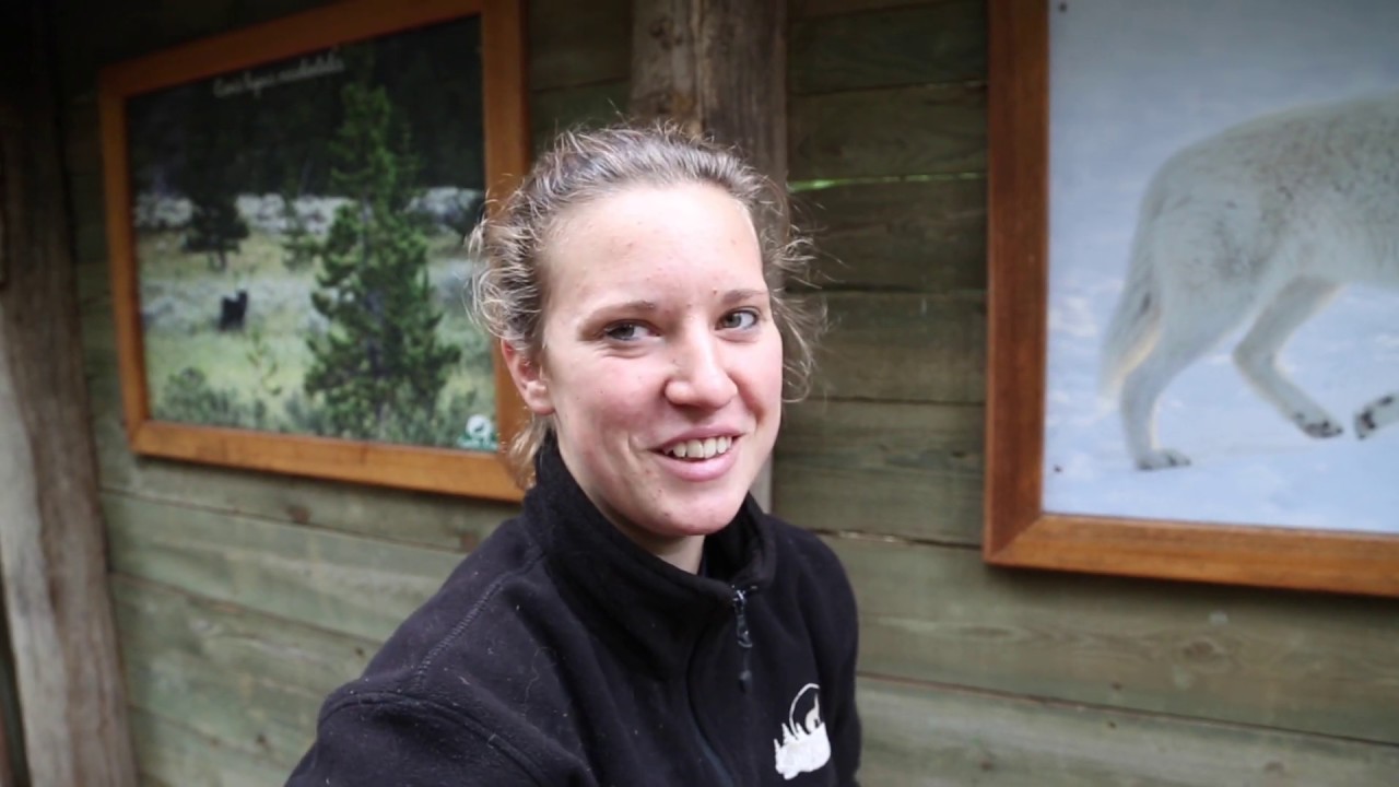 France Rhodes Parc Sainte Croix On nous a ouvert les coulisses du parc avec les soigneurs