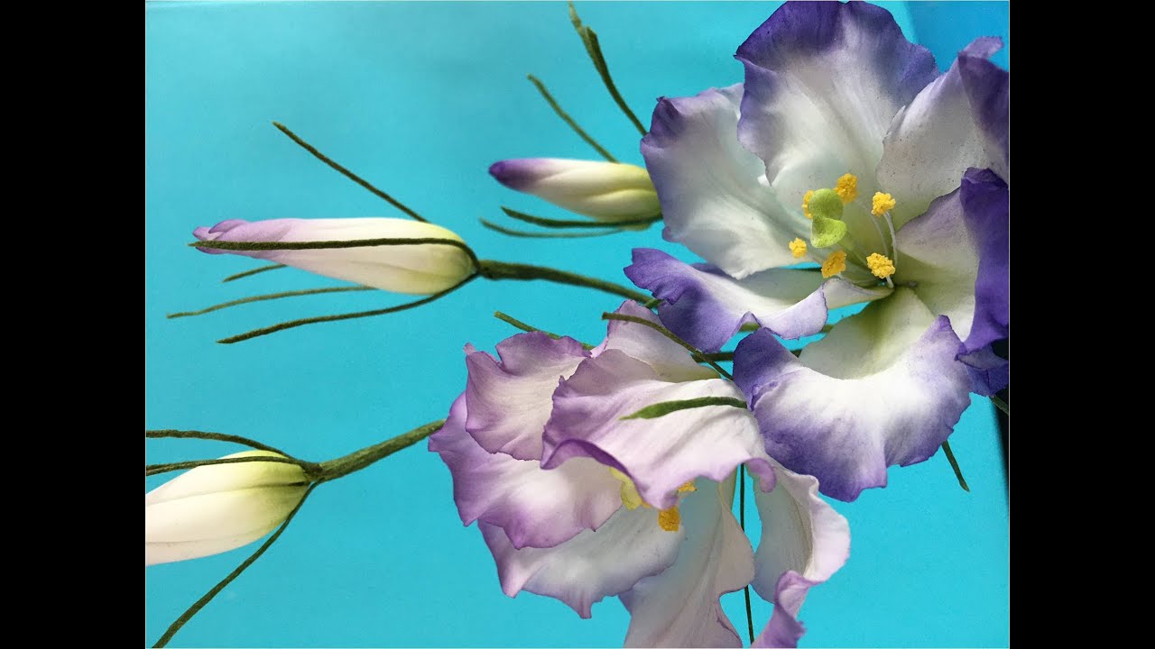 Lisianthus in sugar