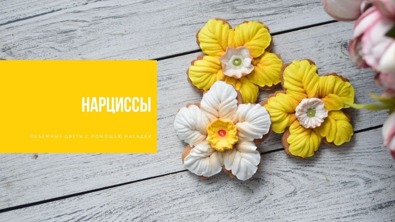 НАРЦИССЫ | дарим пряничные цветы