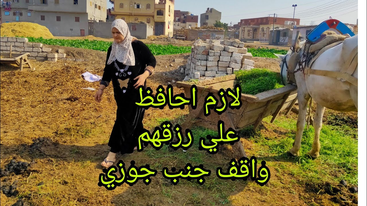 #روتين# الفلاحين الصباحي وازاي تنظمي يومك مع #سمسمه #العمده #