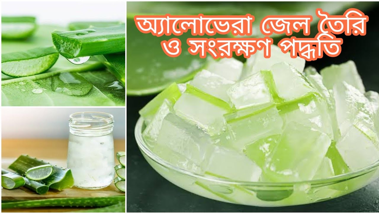 খুব সহজে বাসায় অ্যালোভেরা জেল তৈরি ও সংরক্ষণ পদ্ধতি। How to make Aloe vera jel at home.