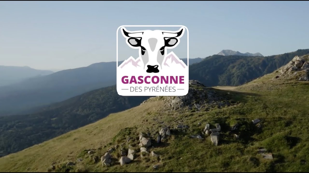 Voix Off Française - Film de Présentation - La Gasconne des Pyrénées
