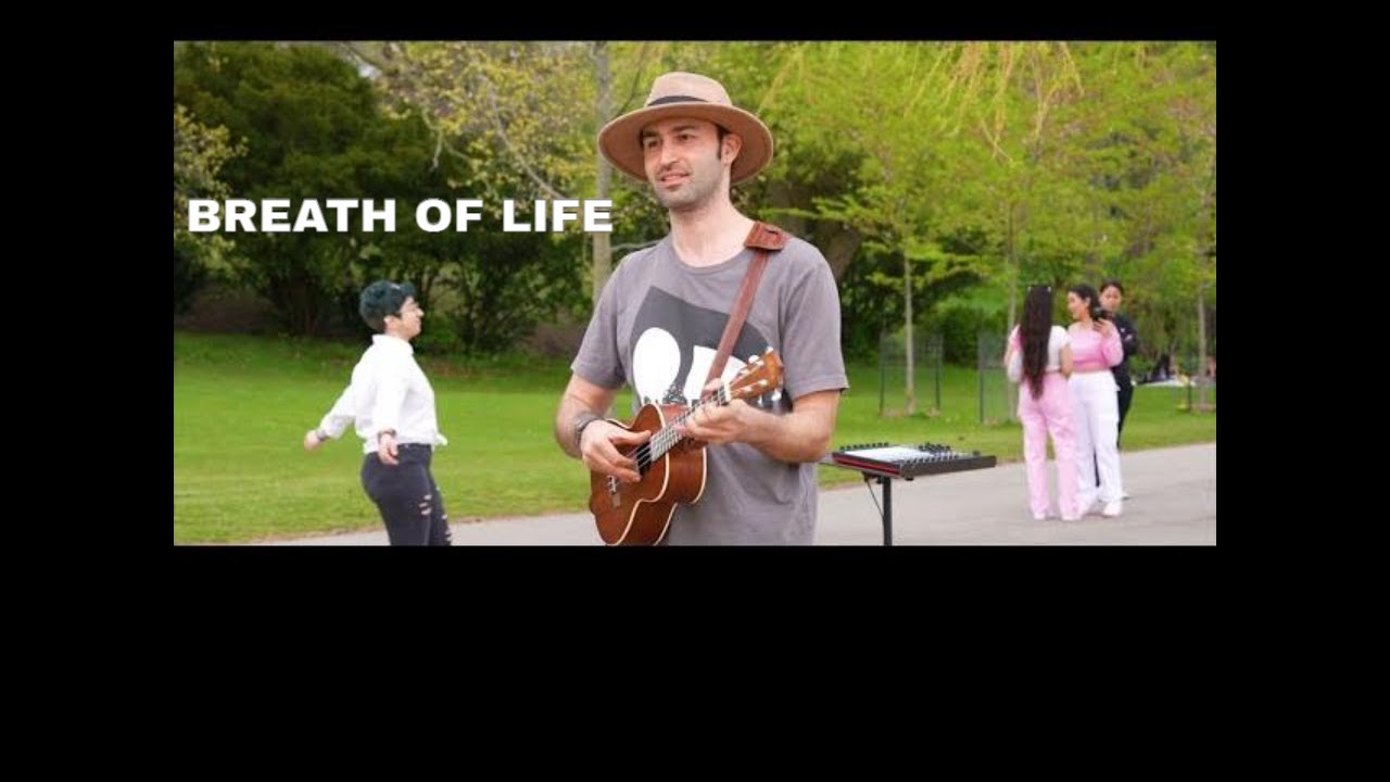 Breath of Life -  Street Performance - Sina Bathaie