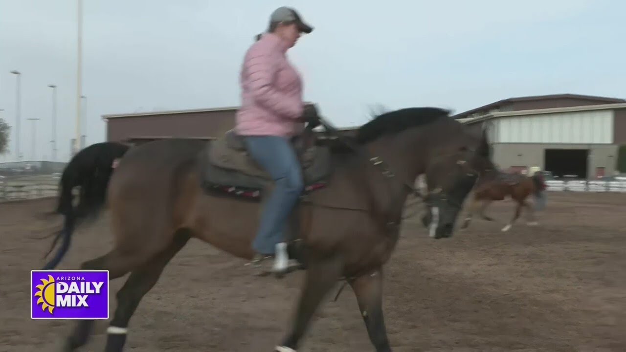 WestWorld hosts world's largest Arabian horse show