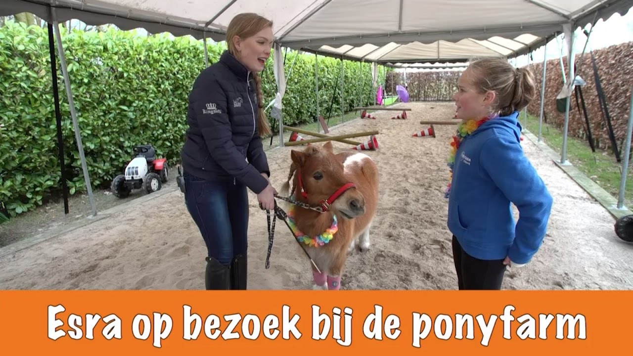 Op bezoek bij Tom | PaardenpraatTV