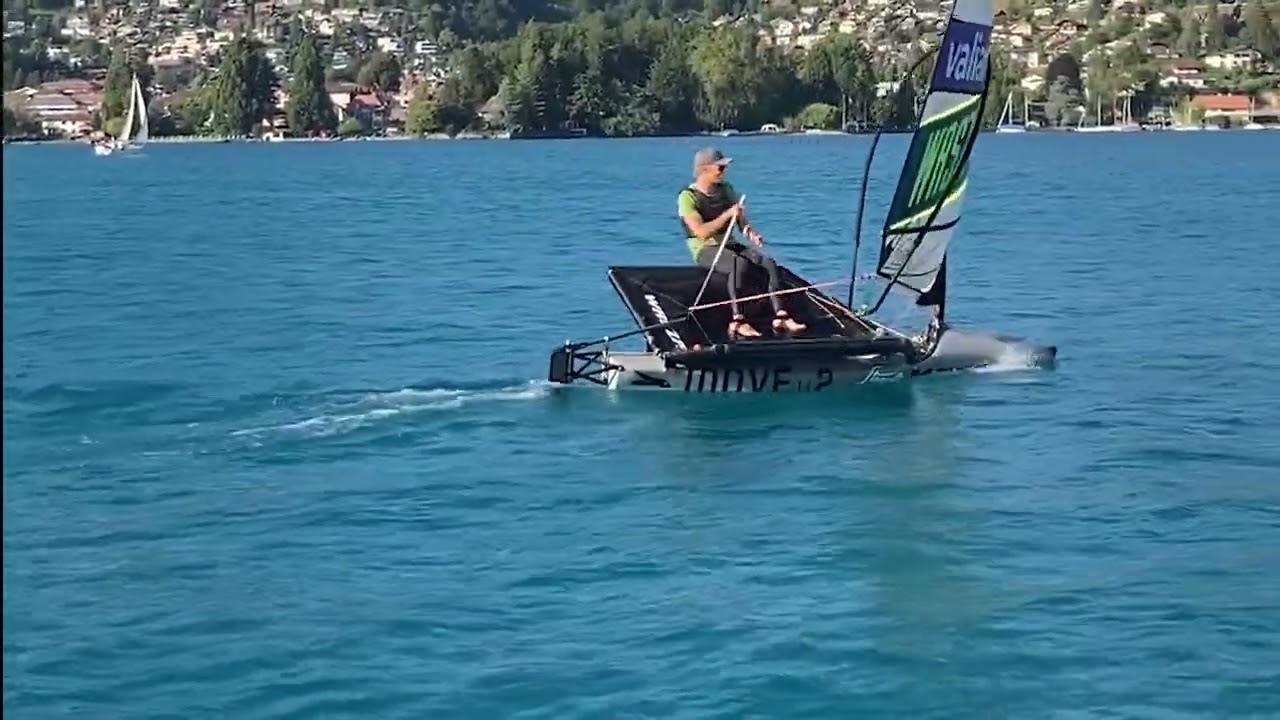 Foilen Waszp Thunersee