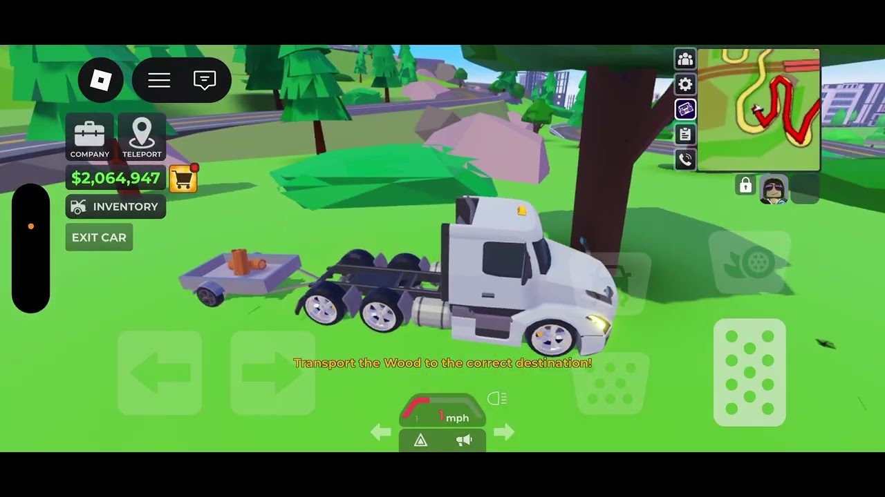 Playing taxi boss 