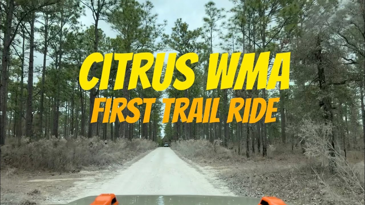 First Time Exploring Citrus WMA | Relaxing Trail Ride