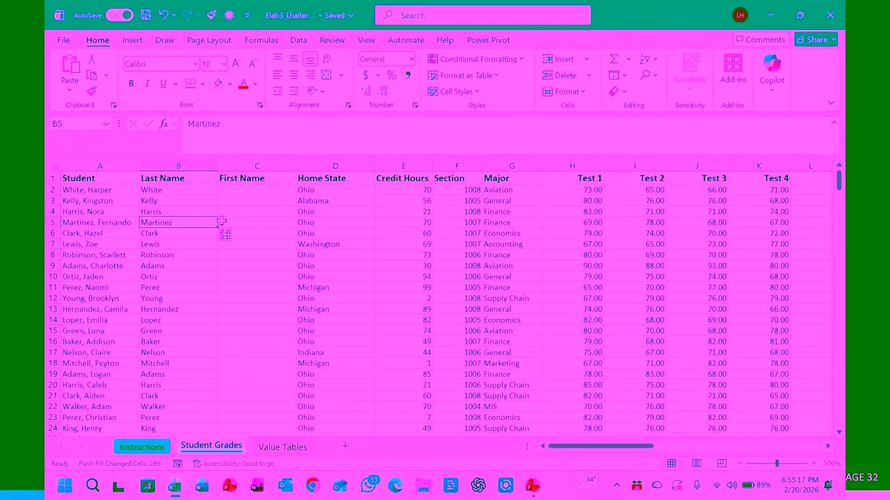 IS2000 - Excel Lab 3 - Narrated Video