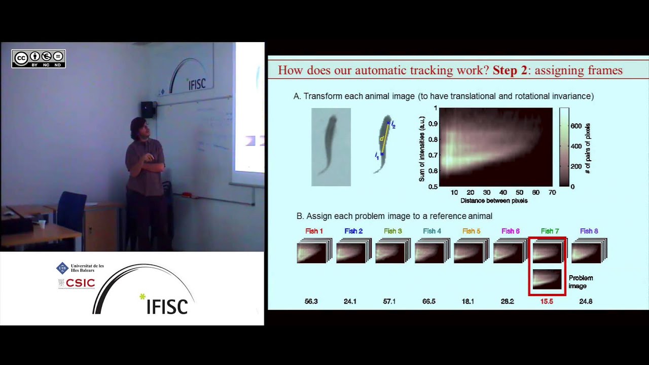 Decision-making in animal collectives