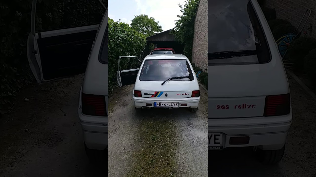 Peugeot 205 Rallye Group N Exhaust Sound
