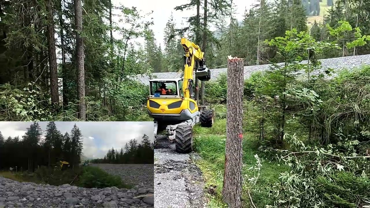 Menzi Muck M545 Öschiwald Holzen mit Fällgreifer