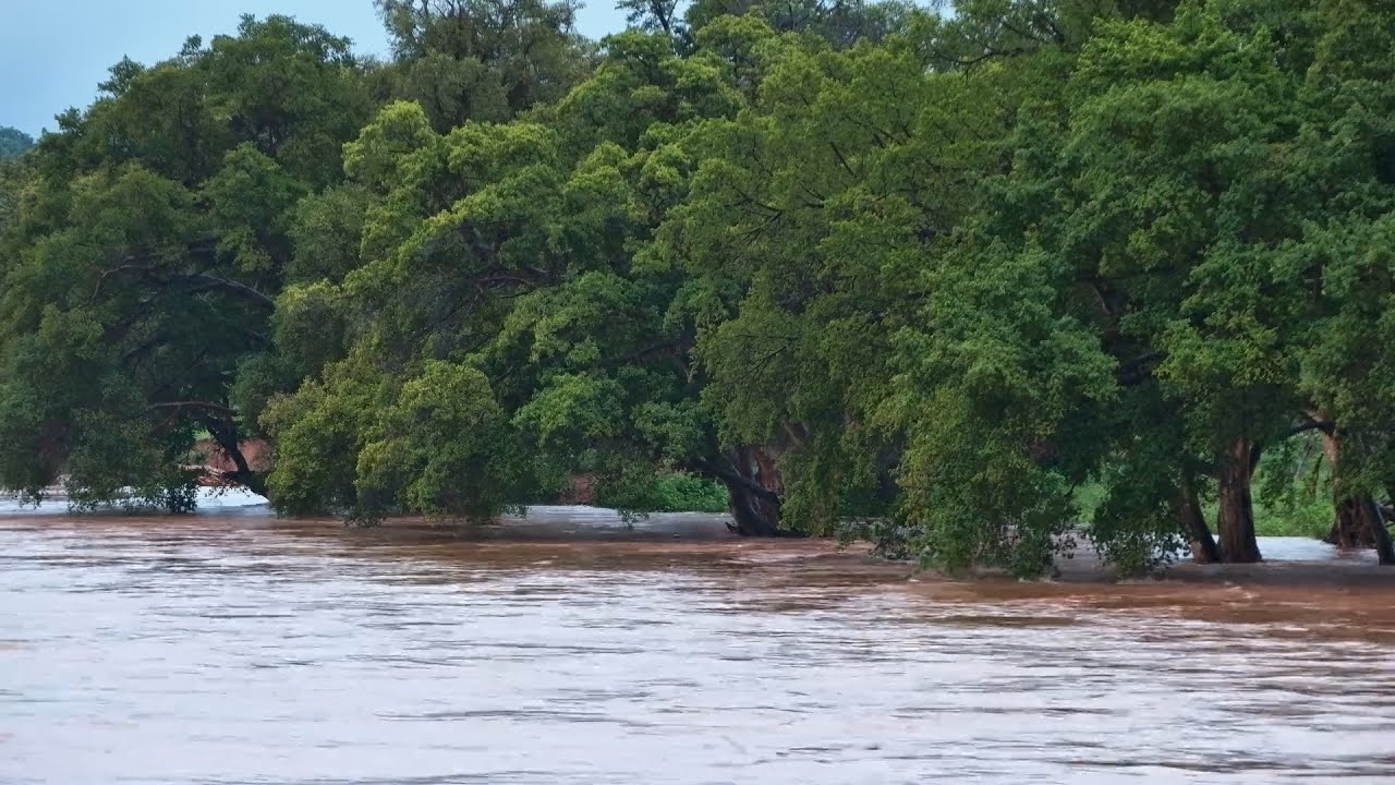 Historic Flood Hits Olifants River - Our Camera Didn’t Survive!