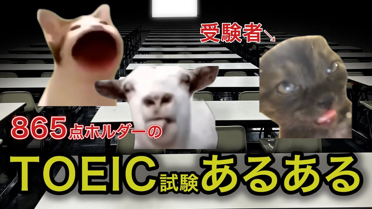 【TOEICあるある①】TOEICの難化を止めてください#猫ミーム