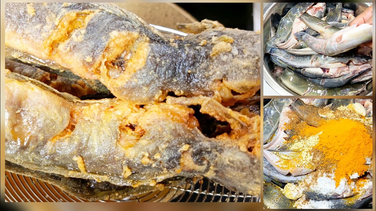 RAHASIA LELE GORENG GLOWING BEGINI  CARA CUCINYA