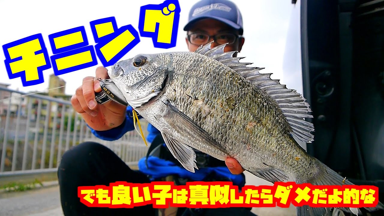【沖縄チヌ釣り】ルアーでチヌが釣れた！！チヌの釣り方をご紹介