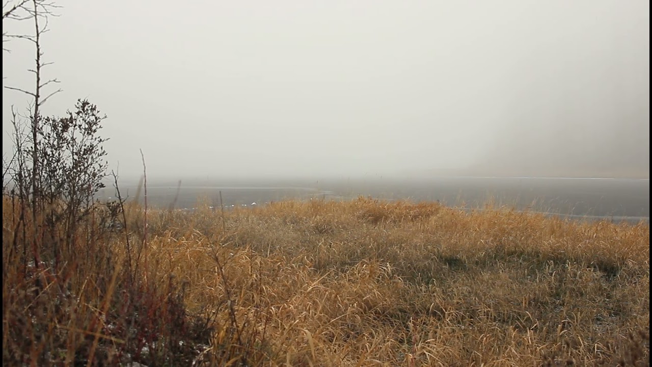 A misty cloud flowing over a frozen lake, moments of zen  - Rose Valley - West Kelowna, BC, Canada