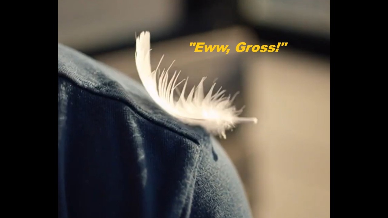 I Tried to Recreate the Forrest Gump Feather Scene