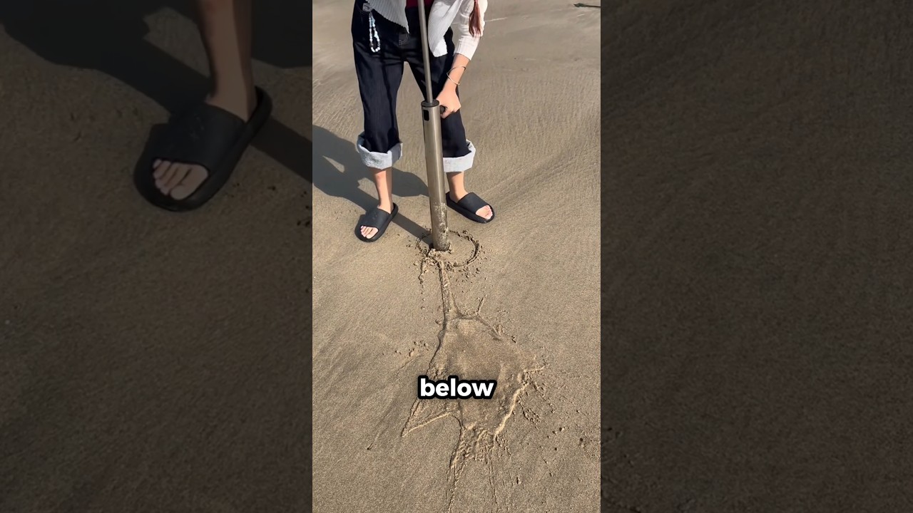 Как найти песчаных червей