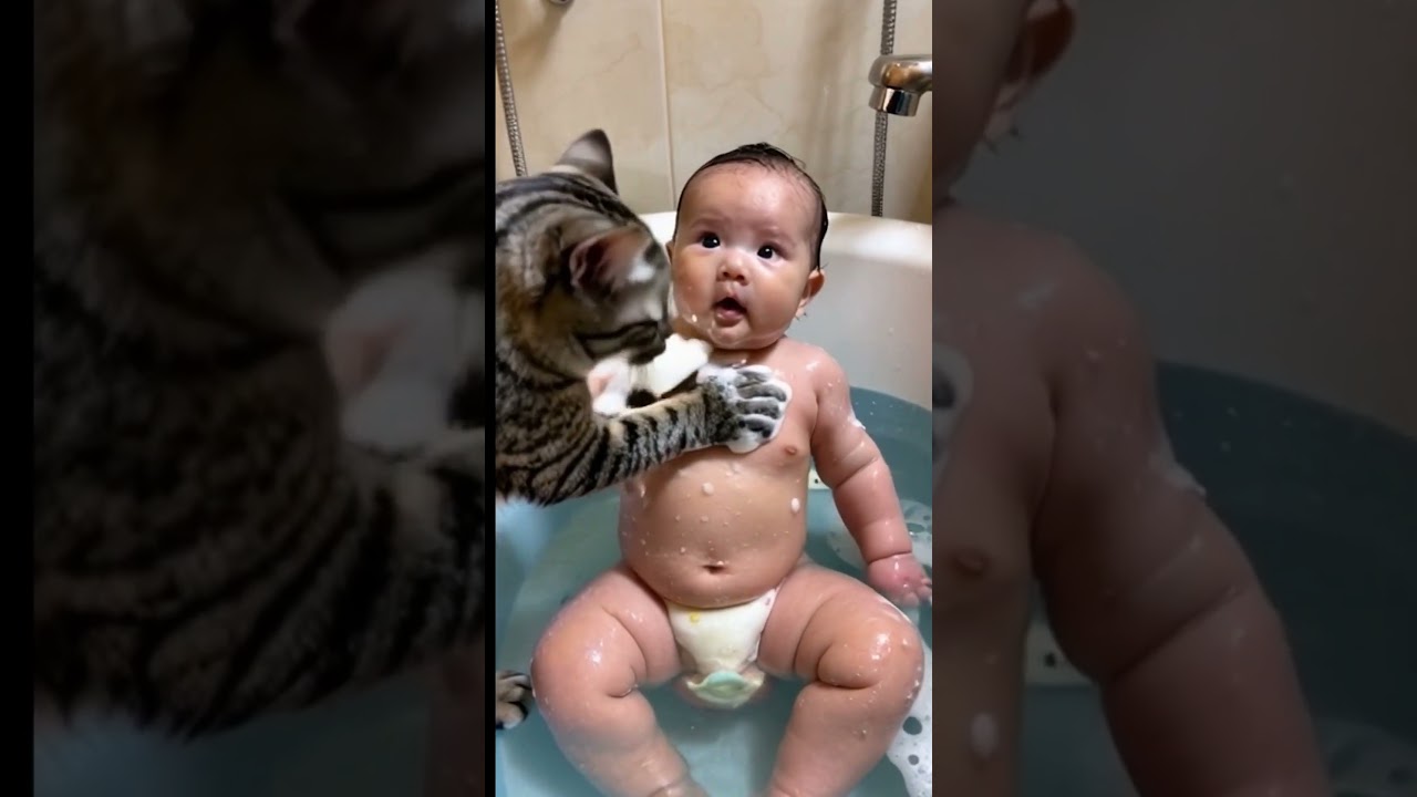 Cat bathes baby #cat #catvideos #cute
