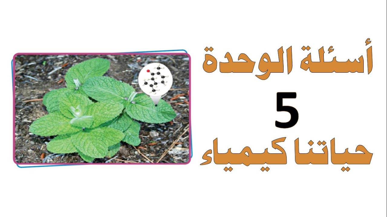 حل أسئلة الوحدة الخامسة ( حياتنا كيمياء) - العلوم والحياة - الصف الثامن الأساسي