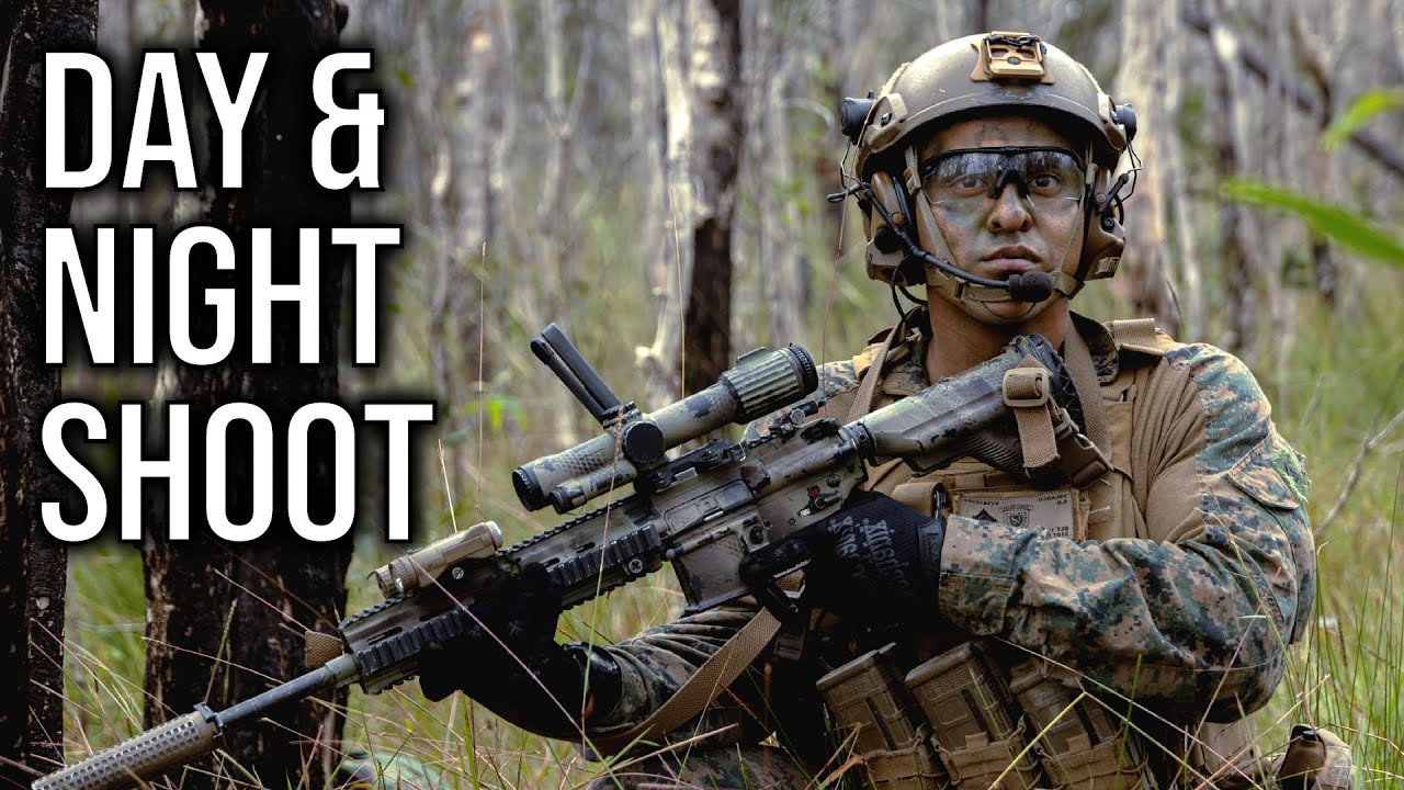 Animal Co. 31st MEU: Live-Fire Platoon Attack + Night Deck Shoot (2025)
