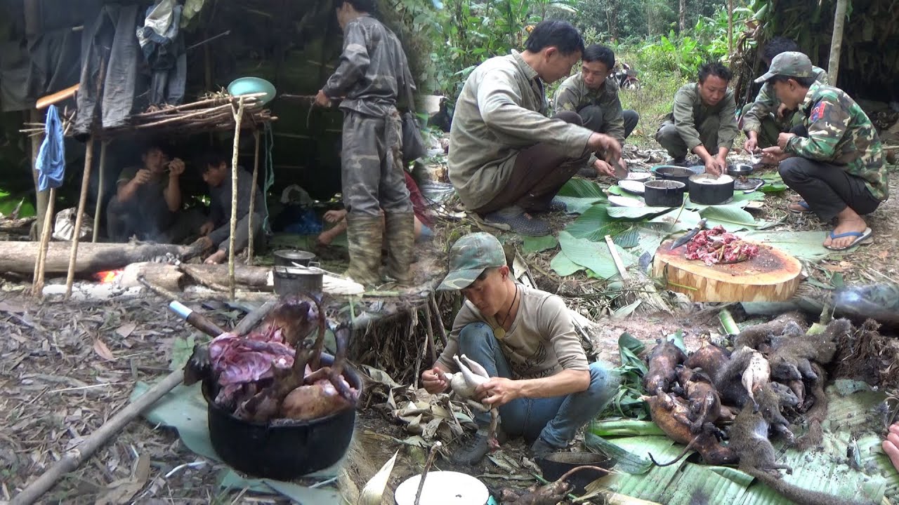 Hunting and Cooking Squirrels, Birds In The Mountains | Yos hav zoov sab naj mam