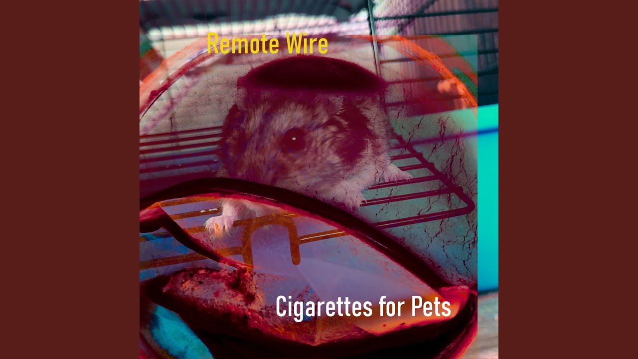 Cigarettes for Pets