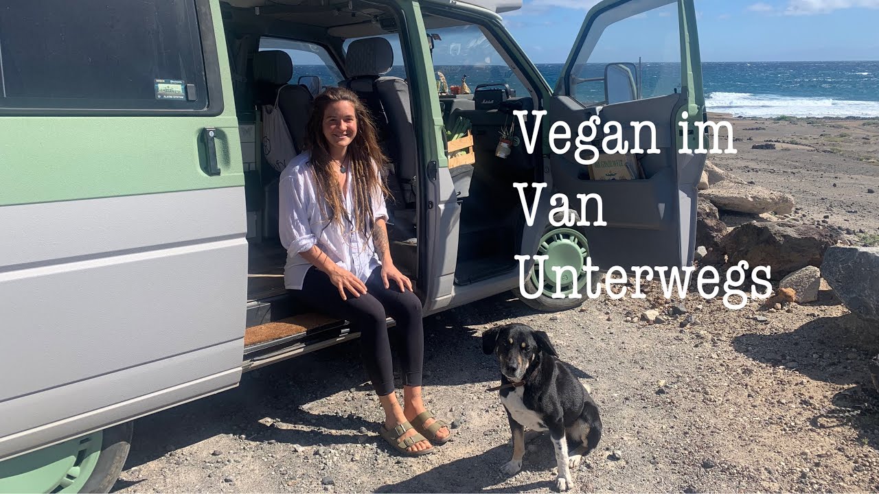 ALLEIN IM VAN DURCH EUROPA| VEGAN VANLIFE| VW T4 CALIFORNIA| VANTOUR