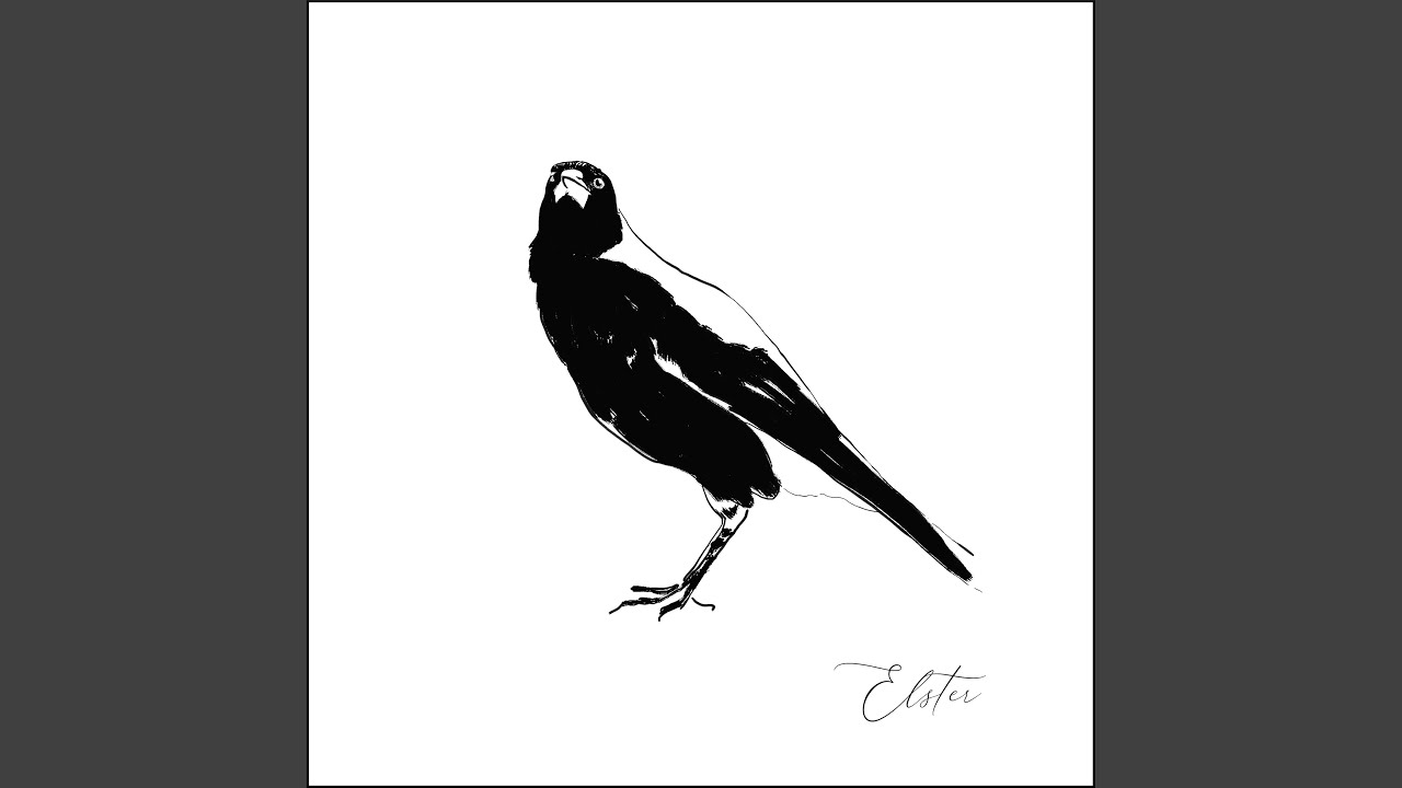 Elster