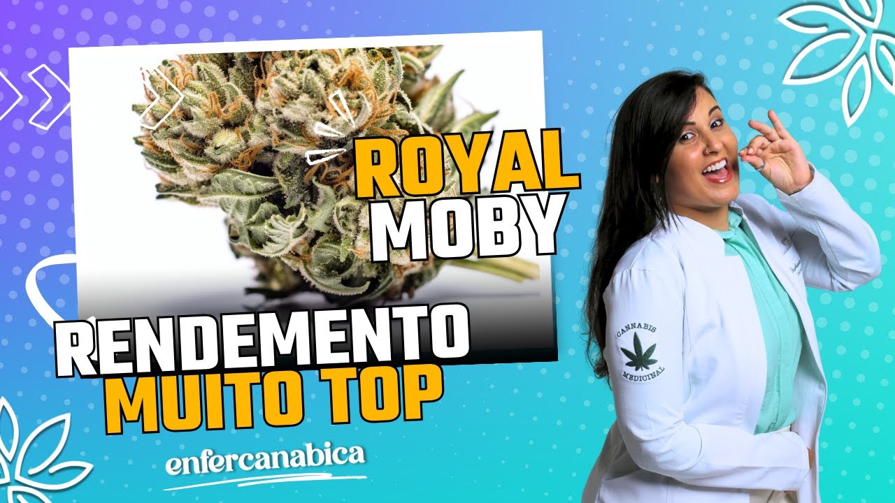 STRAIN REVIEW:  ROYAL MOBY l Enfercanabica