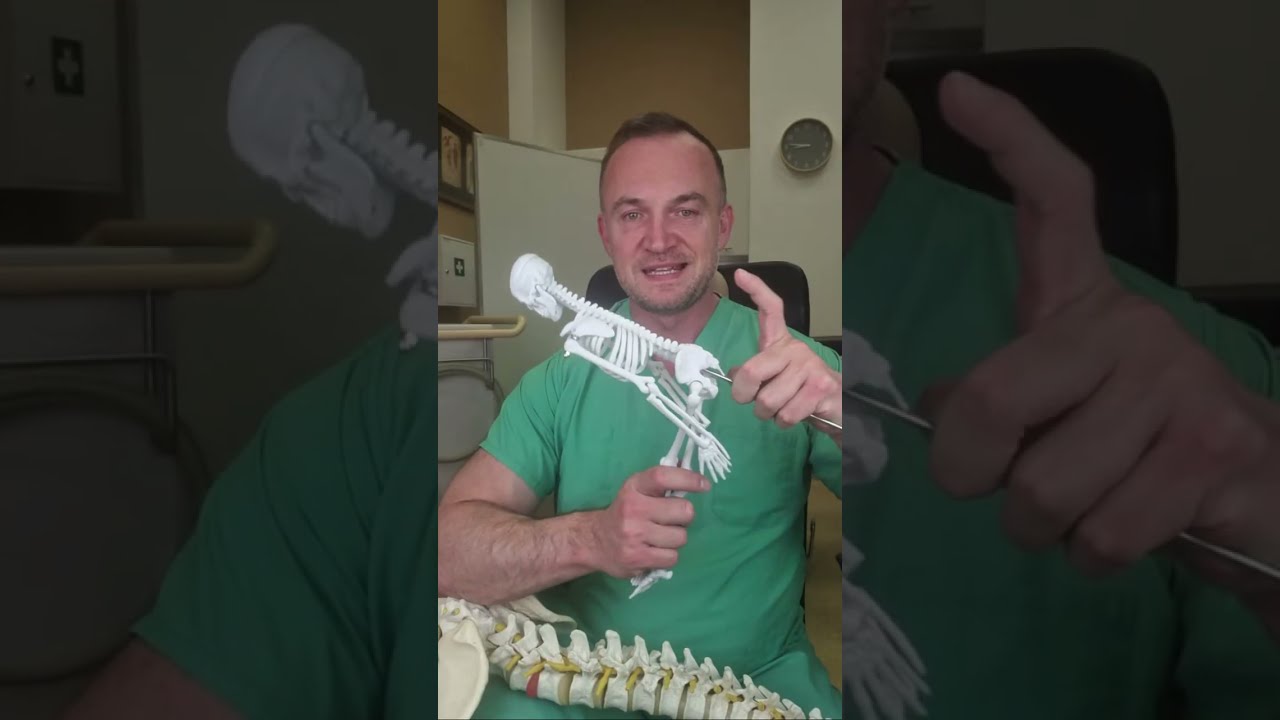 Ból pleców przy siedzeniu - LIVE Andrzej Kroszczyński