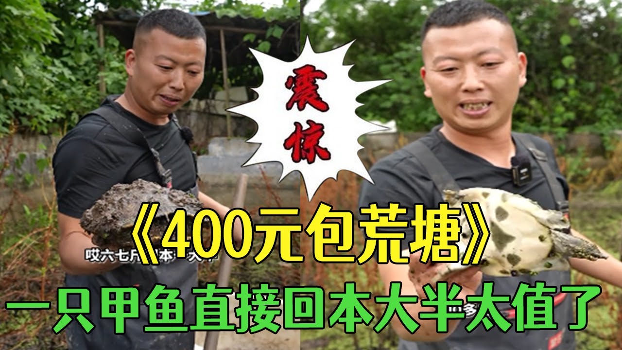 花400塊幫粉絲包個荒塘，壹只甲魚直接回本大半太值了
