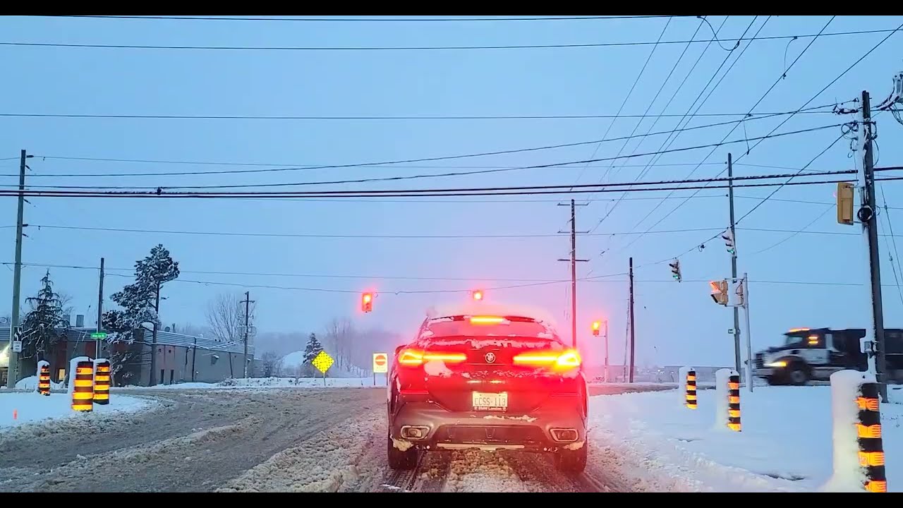 Canada update: Snow still unemployed but working overtime 😂 | London, ON 🇨🇦