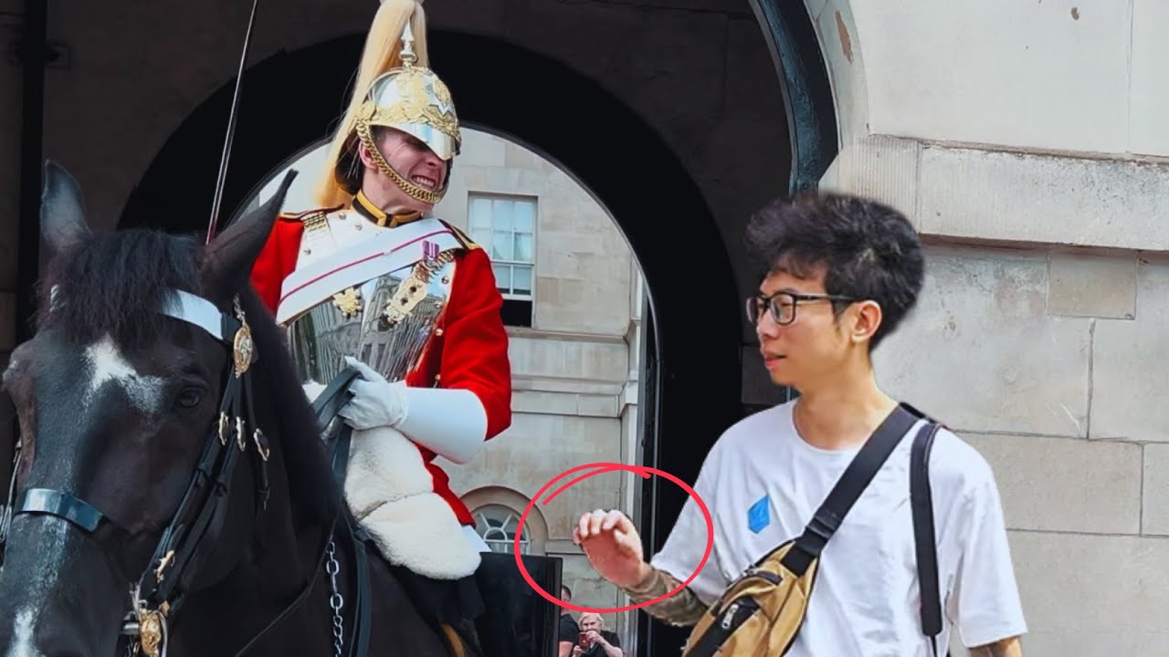 Wenn ein japanischer Tourist das Pferd ber&uuml;hrt und die k&ouml;nigliche Garde w&uuml;tend schreit!