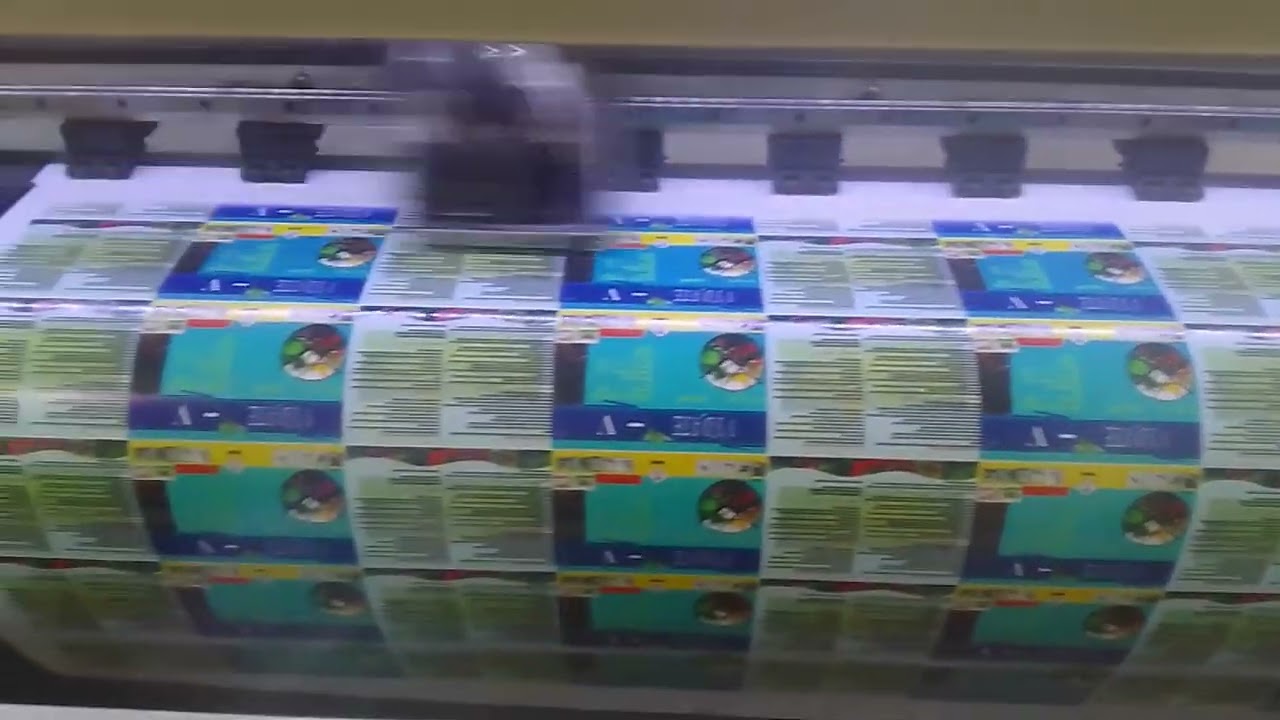 VID 20260208 095046