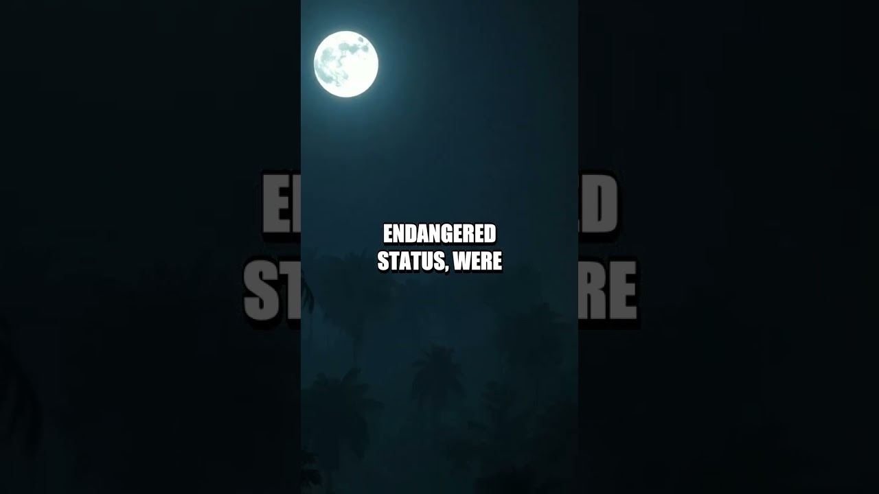 The Extraordinary Egg Heist: A Culinary Dilemma