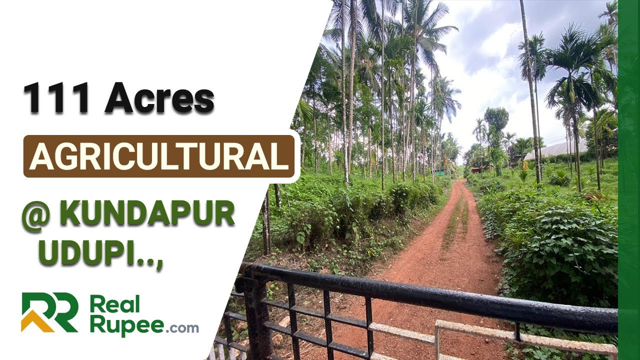 111 acres land for sale Halady Kundapur Udupi